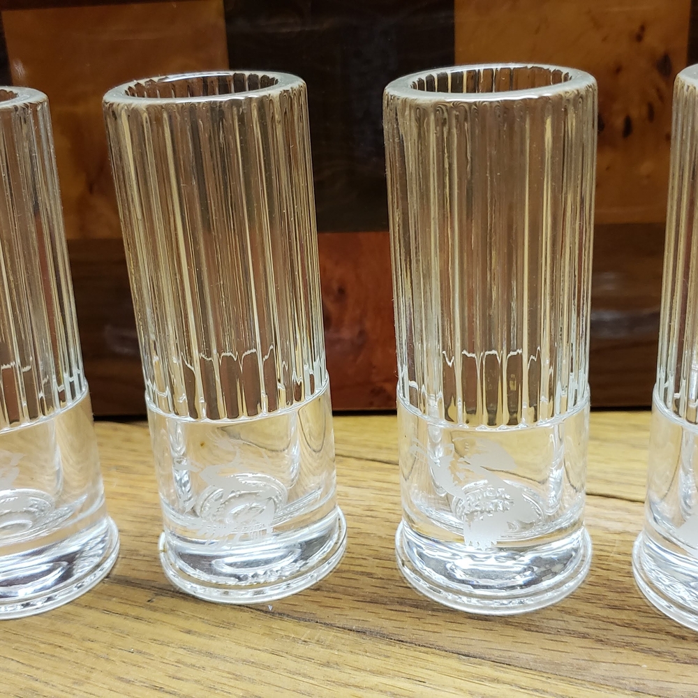 Shot Glass Set